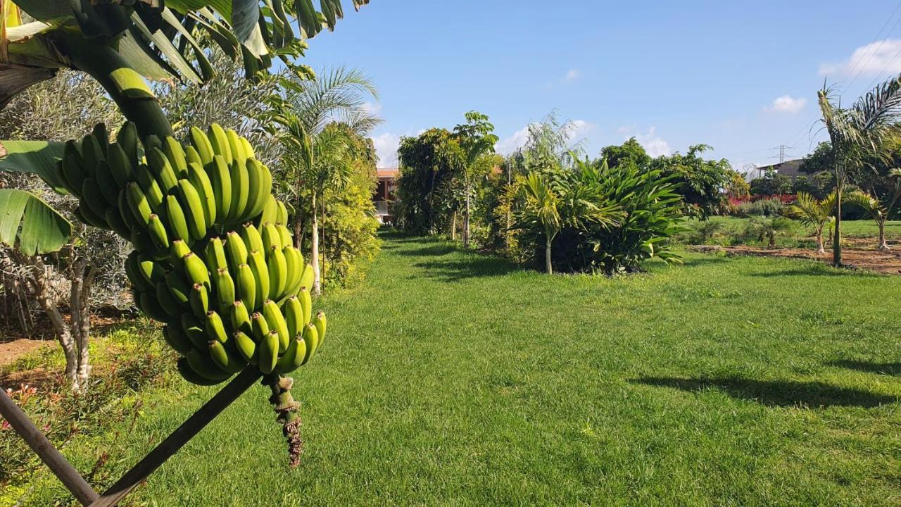 Finca La Suerte Grande Telde Esterno foto